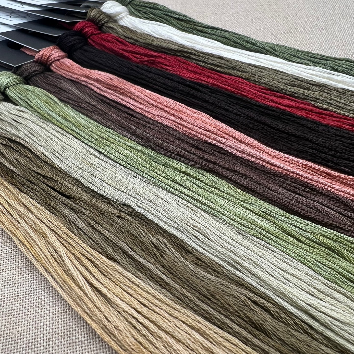 Jeannette Douglas Designs - Chubby Bird - Booklet Chart and/or Roxy Floss Conversion