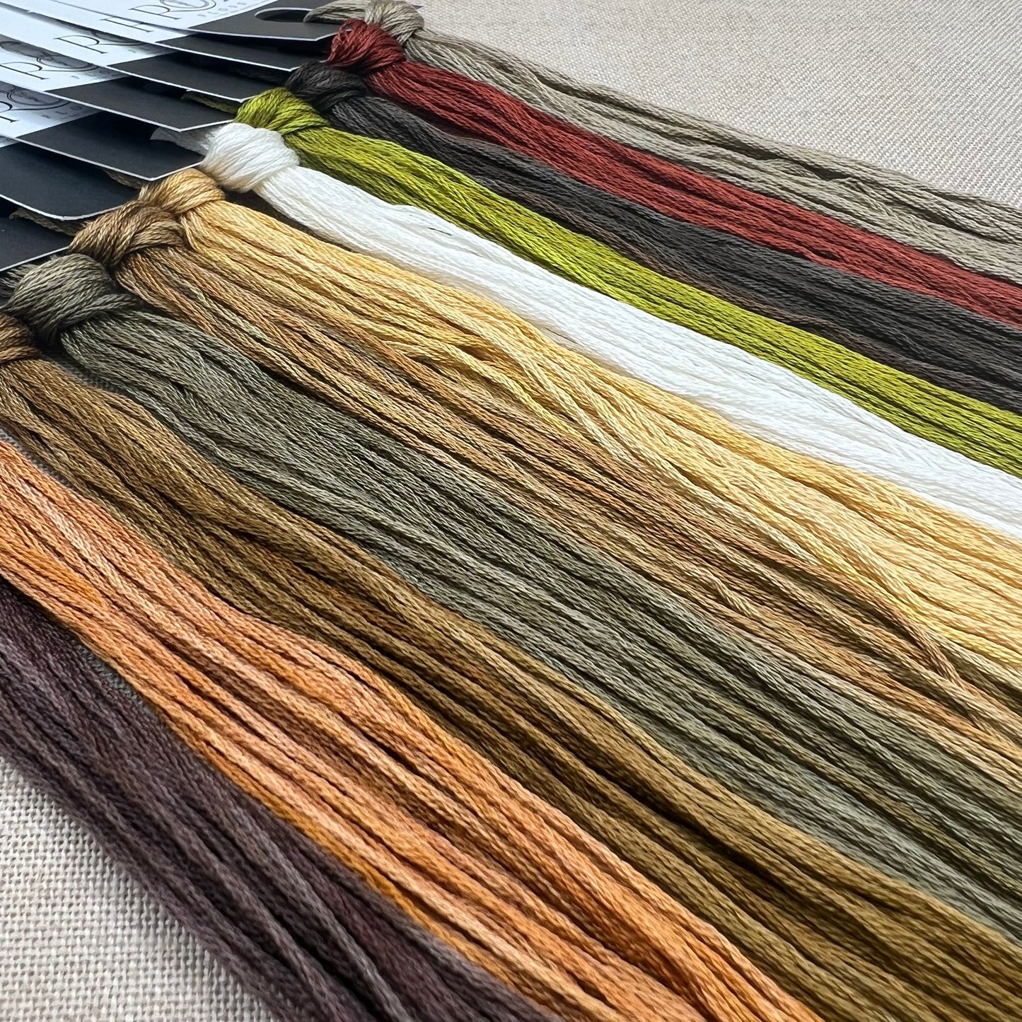 Jeannette Douglas Designs - Chubby Squirrel - Booklet Chart and/or Roxy Floss Conversion