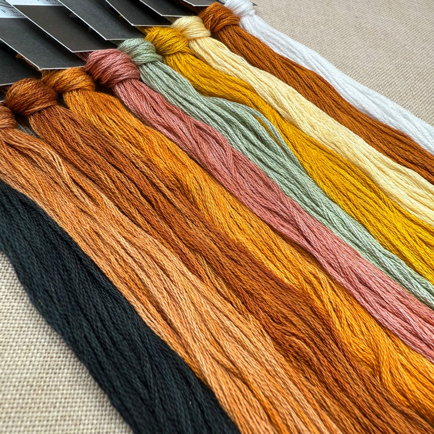 Boomerang Stitches - Milkweed & Monarch - Cross Stitch Chart and/or Roxy Floss Co Threads