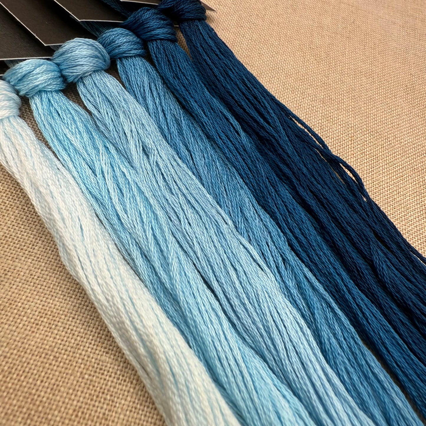 Roxy Floss Co - Bird's Eye View - Set of 6