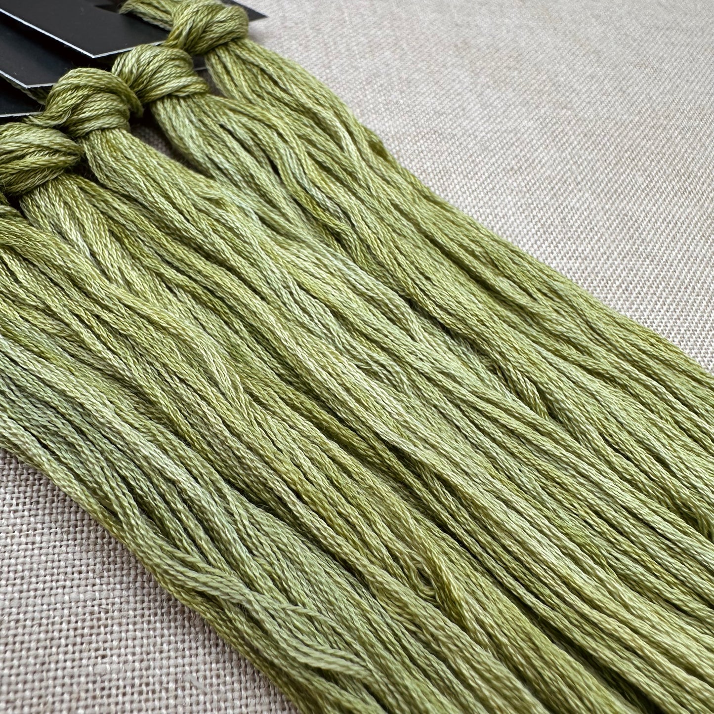 Roxy Floss Collection 8yd Thorn This Way