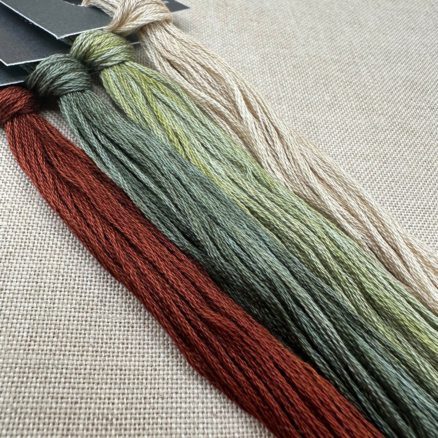 Modern Folk Embroidery - Rink Symons 1781: A Hindeloopen Sampler - Booklet Chart and/or Roxy Floss