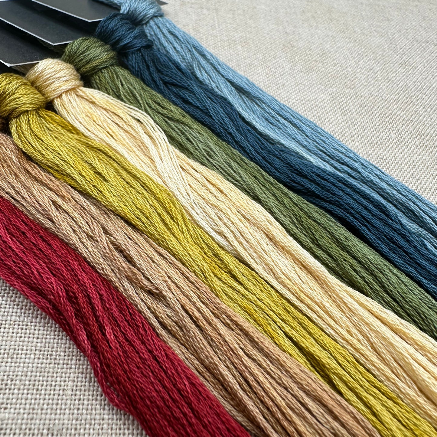 Modern Folk Embroidery - Frouwke Sijmens Bos 1792 - Booklet Chart and/or Roxy Floss