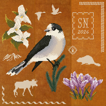 Diana Bloom Designs - Canada Jay - Chart IH and/or Roxy Floss