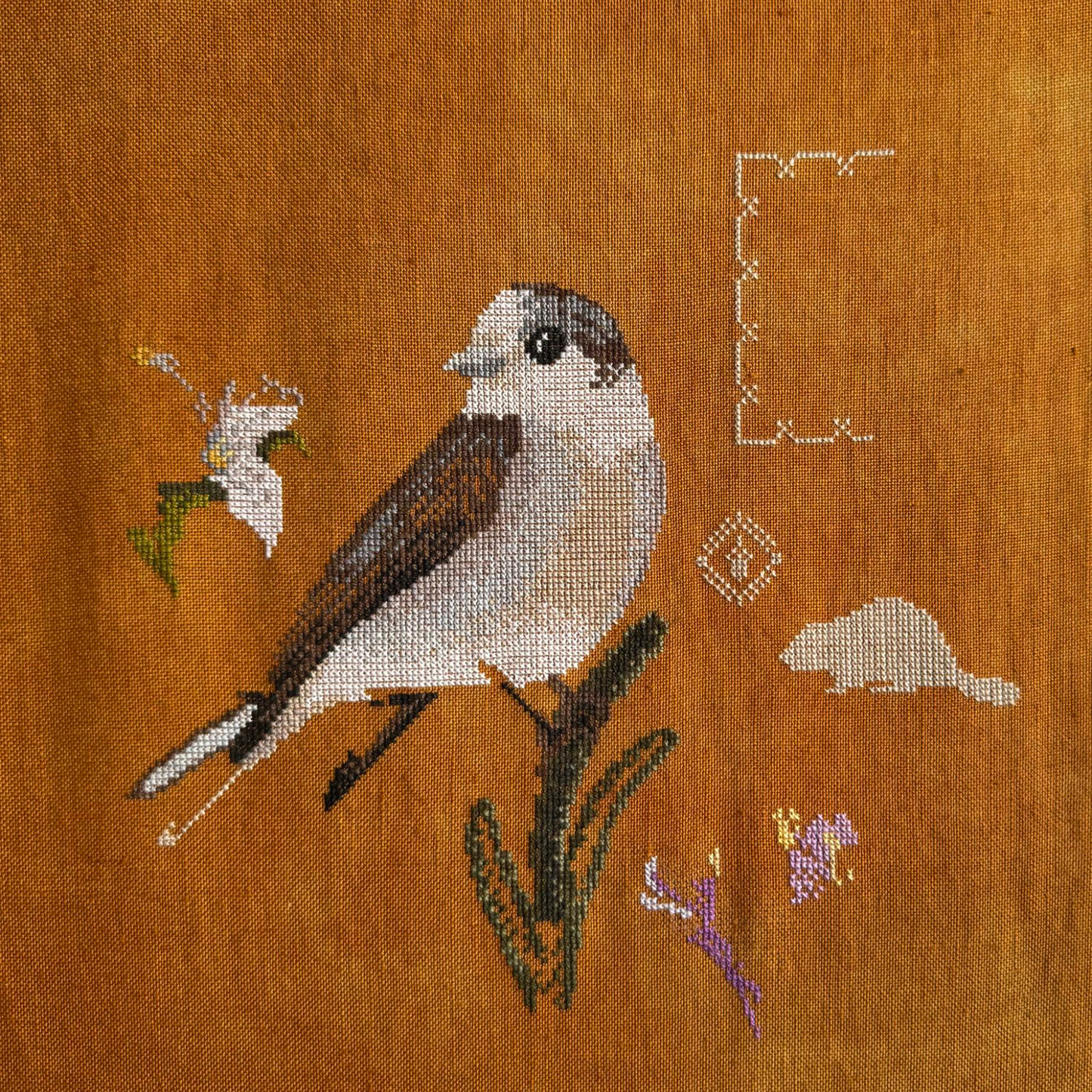 Diana Bloom Designs - Canada Jay - Chart IH and/or Roxy Floss