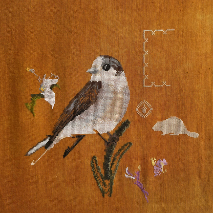 Diana Bloom Designs - Canada Jay - Chart IH and/or Roxy Floss