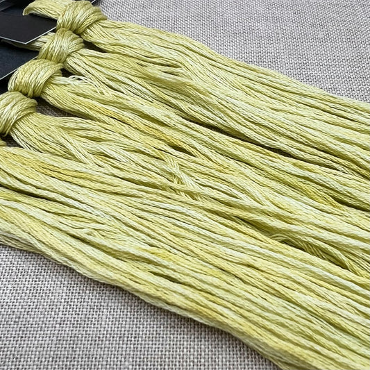 Roxy Floss Collection 8yd Bookworm