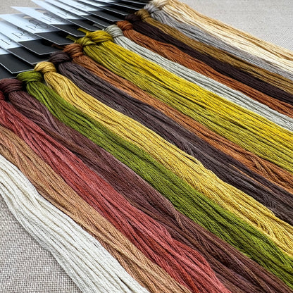 Jeannette Douglas Designs - Vintage Acorns - Booklet Chart and/or Roxy Floss Conversion