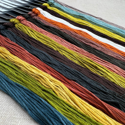 Jeannette Douglas Designs - Vintage Animals - Booklet Chart and/or Roxy Floss Conversion