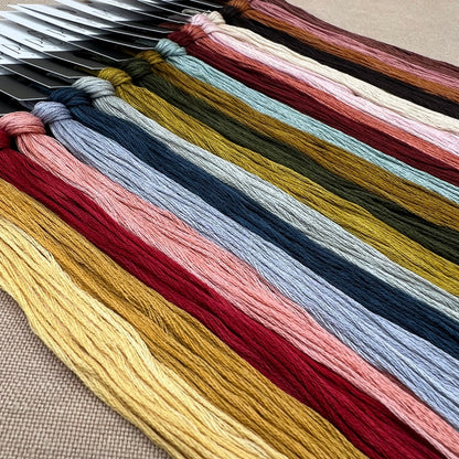 Blueberry Ridge Design - Where the Wildflowers Grow - Cross Stitch Chart and/or Roxy Floss Co Threads