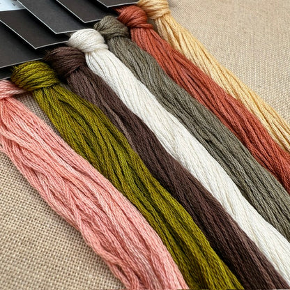 1897 Schoolhouse Samplers - My Precious Jewel: Ann Alice Townshends Work ~ Aged 9 Years, May 5, 1841 -  Physical Chart and/or Roxy Floss