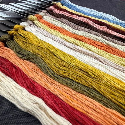 Shakespeare's Peddler - Painted Flowers - Booklet Chart and/or Roxy Floss Conversion