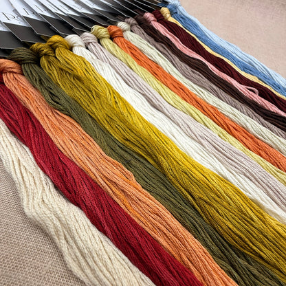 Shakespeare's Peddler - Painted Flowers - Booklet Chart and/or Roxy Floss Conversion