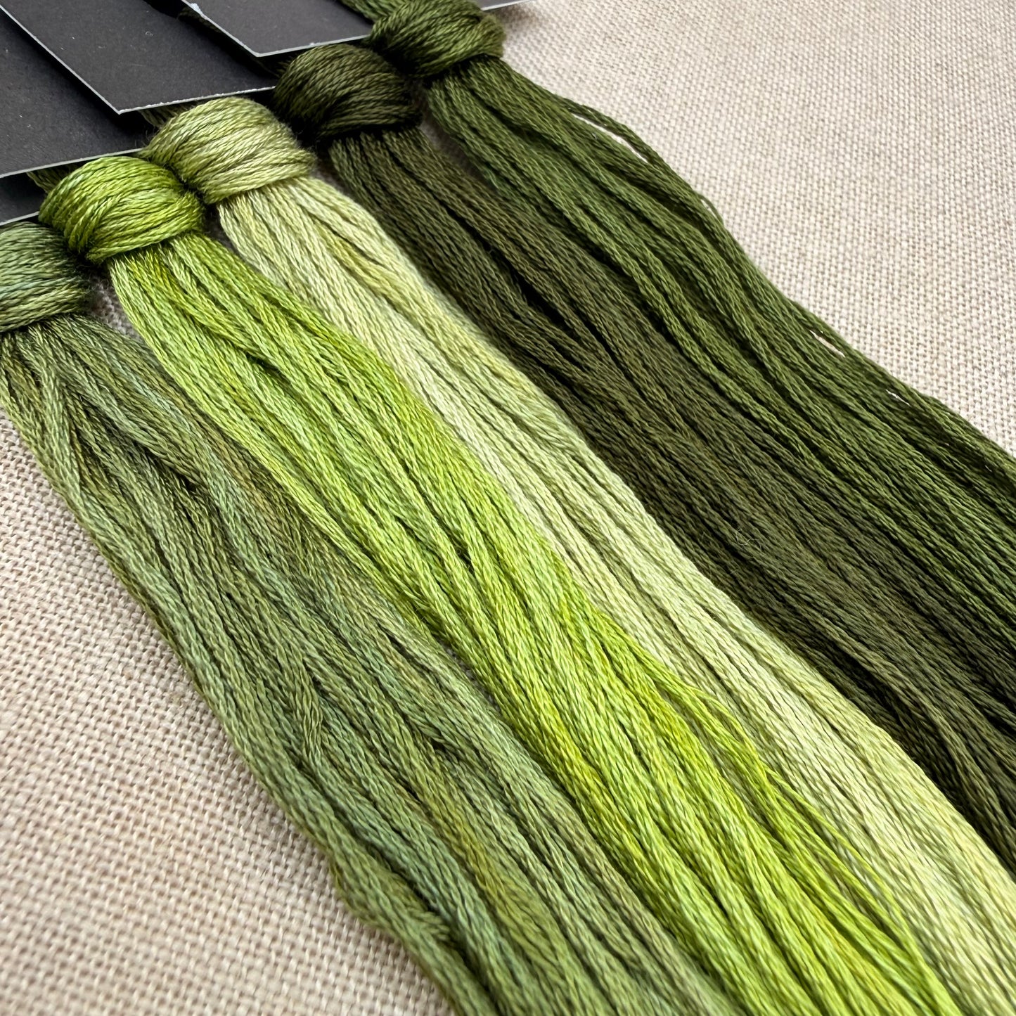 Shannon Christine Designs - Evergreen Whispers - Chart IH and/or Roxy Floss